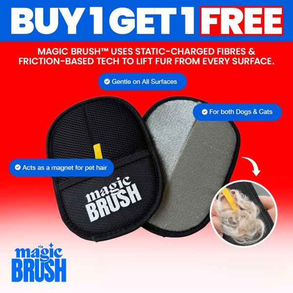 QuickGrip Pet Hair Glove